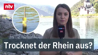 Extreme low water levels – Rhine water level could fall to six centimeters | ntv
