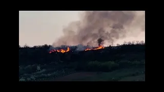 BLIC INFO 19.08.2026. RT CARIBROD DIMITROVGRAD