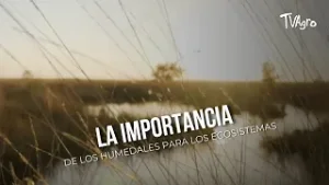 .? La importancia de los humedales para los ecosistemas - TvAgro por Juan Gonzalo Angel