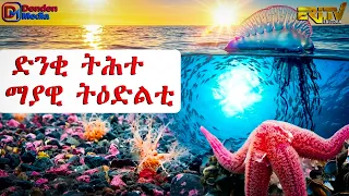 ካብ ጸጋታት ባሕርና : ድንቂ ትሕተ ማያዊ ትዕድልቲ  | tsegatat bahrina - September 6, 2026