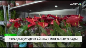Тараздық студент айына 5 млн табыс табады