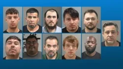 Fayetteville police: 11 men arrested in 'online child predator operation'