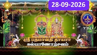Sri Padmavathi Ammavari || Kalyanotsavam || Tiruchanoor || 28-09-2026 || SVBC2 Tamil || SVBC TTD