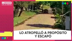 HE RAN HIM OVER ON PURPOSE AND ESCAPED #ThePeople'sNews