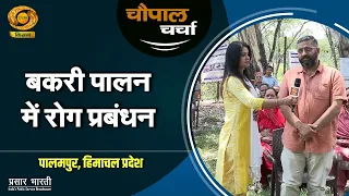 Chaupal Charcha | Disease Management in Goat Farming | Palampur, Himachal Pradesh | DD Kisan | Go...