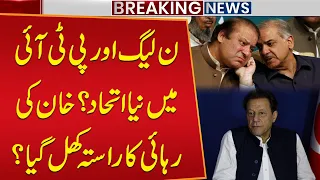 PML-N & PTI Forming a New Alliance? | Will It Open the Way for Imran Khan’s Release?