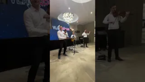 Muzică LIVE la Red Link Wedding - editia 10