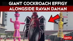 Dussehra In Delhi | 30-Foot-Tall Cockroach Effigy To Be Burnt Alongside Ravan In Pitampura