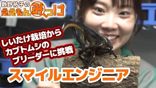"Smile Engineer" Takes on the Challenge of Beetle Breeding After Cultivating Shiitake Mushrooms |...