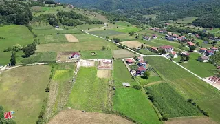 "žute dunje, aman, aman..."