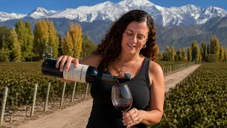 Experiencia gastronómica en el viñedo ZUCCARDI en Mendoza 🇦🇷 | ALC NEWS