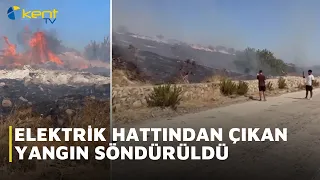 FIRE CAUSED BY POWER LINE EXTINGUISHED