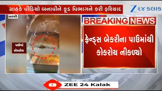 Gujarat: Cockroach found inside bread packet bought from Vapi's 'Friends Bakery; video goes viral