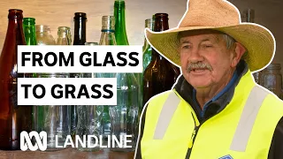 Fertiliser shortage: a surprising solution? | Landline