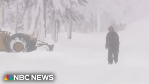 U.S. East coast digs out from record-breaking blizzard