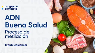 Vitamin Methylation Process: What Is It and What Is It For? - ADN Buena Salud