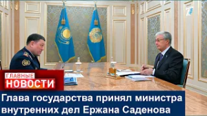 Глава государства принял министра внутренних дел Ержана Саденова