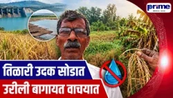 Farmers Demand Tillari Water Release to Save Orchards and Crops