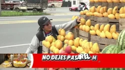 MANGO REMAINS SCARCE AND HIGH-PRICED