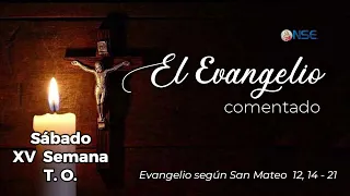 Gospel 📖 commentary July 18🕊️