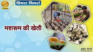 Vichar Vimarsh: Mushroom Farming | Vichar Vimarsh | July 25, 2026