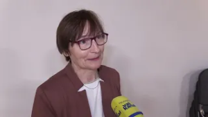 Ob mednarodnem dnevu maternega jezika: Vpliv angleščine in kalkiranje