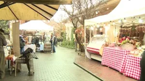 LUMEA DE APROAPE, 7 februarie 2026 / SLANAFEST