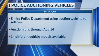 Vehicles up for auction at Elmira Police Department