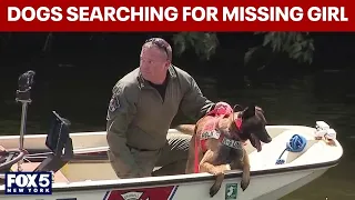 Dogs now searching for missing 10-year-old girl