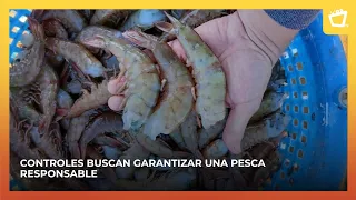 Inpesca strengthens oversight of shrimp fishing in Corinto