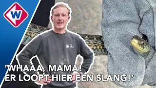 Tom schrikt zich rot door slang in zijn voortuin