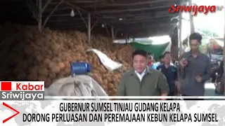 Herman Deru Tinjau Gudang Kelapa, Dorong Perluasan dan Peremajaan Kebun Kelapa Sumsel