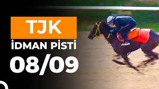 Ankara İdman Pisti 08/09/2026 Salı