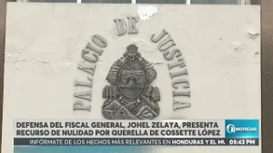 Defensa de Johel Zelaya revela detalles sobre querella interpuesta contra Cossette López