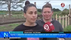 Nano and Serafín need a family to adopt them together