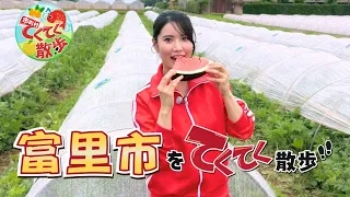 "Walking Through Towns and Villages" Episode 188: "Tomisato City" (Aired 7/3/2026) [Chiba TV Offi...