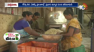 Grade A Cashew Making Process | నాణ్యమైన జీడి పప్పు తయారీలో మెళకువలు | Matti Manishi | 10TV