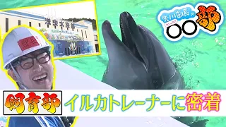 【#先川部長のわっち〇〇部】青森県営浅虫水族館のイルカトレーナーに密着！エサ作り、体調チェック、掃除…怒涛の業務の後は特別パフォーマンスに挑戦