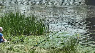 Conserving Fish Stocks: Fishing Ban at the Pogost Reservoir