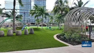 New Victoria Ward Park policy prompts outcry by pet owners