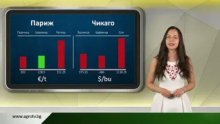 Борсовата информация по АГРО ТВ на 29 юни
