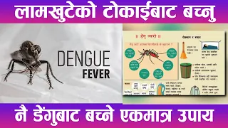 लामखुटेको टोकाईबाट बच्नु नै डेंगुबाट बच्ने एकमात्र उपाय | News Report |