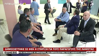 ΔΗΜΟΣΙΕΥΤΗΚΕ ΣΕ ΦΕΚ Η ΣΤΗΡΙΞΗ ΓΙΑ ΤΟΥΣ ΠΑΡΑΓΩΓΟΥΣ ΤΗΣ ΛΑΨΙΣΤΑΣ