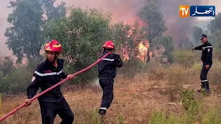 Raging Inferno: The Story of Scorching Winds That Turned the Jijel Fires Into a Tragedy