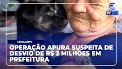Total Alert - Abandoned and rescued puppies adopted in Limeira