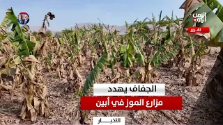 Abyan | Drought Threatens Banana Farms