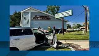 Car crashes into Slidell pet store, damages St. Tammany Pet Center