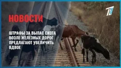 Proposed doubling of fines for grazing livestock near railroads