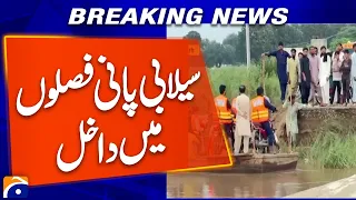 Floodwater Enters Farmlands in Narowal | Major Agriculture Damage Feared