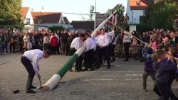 Májka stojí a hody v Uherském Ostrohu můžou začít